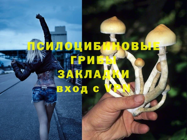 герыч Каменногорск