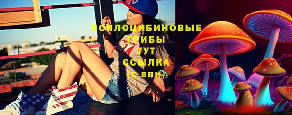 дмт Каменск-Шахтинский